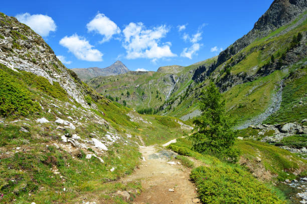 istock Gran Paradiso National Park. Aosta Valley, Italy. 1357252725