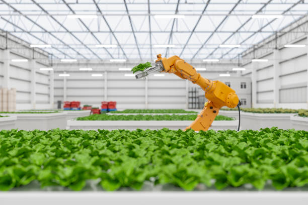 Automated Smart Farming Facility Using Robotics Automated smart farming facility using robotics and artificial intelligence. robotic arm photos stock pictures, royalty-free photos & images
