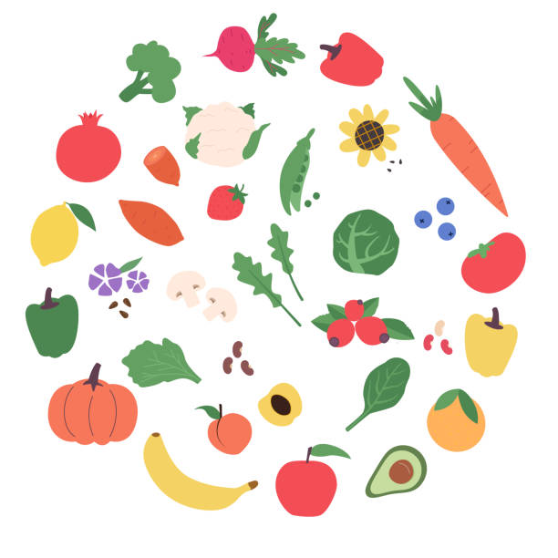 A set of vegetables and fruits in a circle, healthy food.Cartoon flat vector illustration isolated on white background. vector art illustration