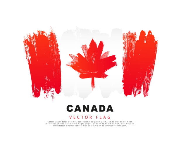캐나다의 국기. 손으로 그린 빨간색과 흰색 브러시 스트로크. 흰색 배경에서 격리된 벡터 그림입니다. - canadian flag canada flag maple leaf stock illustrations
