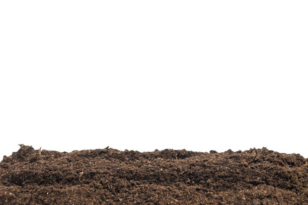 istock Soil for plant isolated on white background. 1357257638