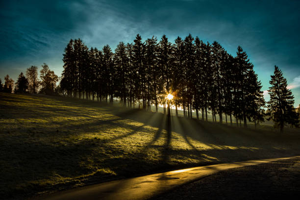 Park at sunset
