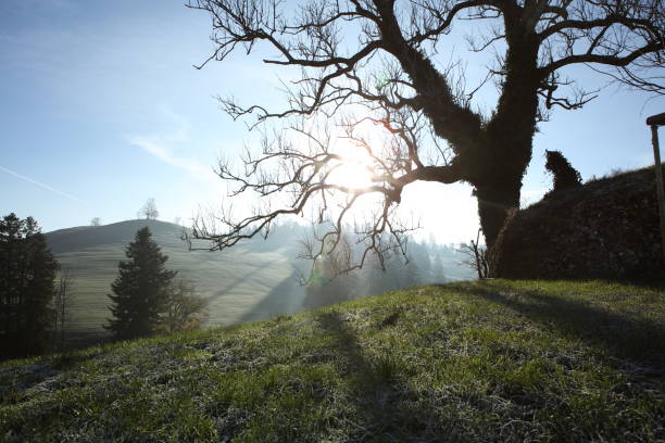 Sunrise in the moutains. Sunrise and shadow from trees
