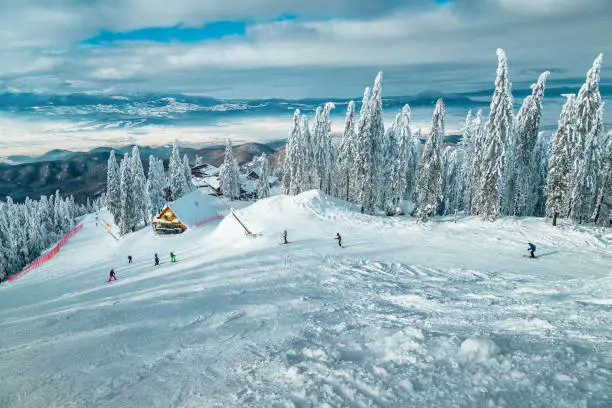Photo of Skiers on the slope and snowy forest in background, Romania