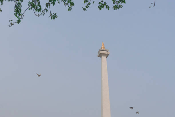 istock Birds flying on Indonesia National Monument 1357266756