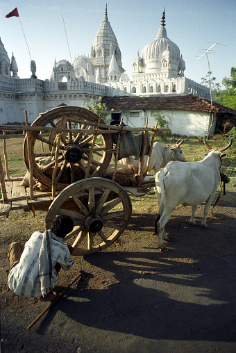 Tribal repairs bullock cart outside Jain Temple, near Seoni, Madhya Pradesh, India, India, land of contrasts, colours and sounds from its religious devotions, colourful costumes and dress, picturesque and multicolored landscapes to its multicultural population that clamours in its towns and cities