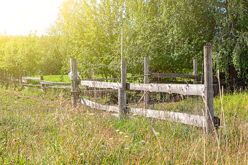 Old wooden fence in countryside at sunny summer day