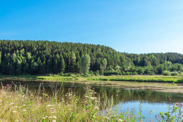 istock Wide river flows in countryside on sunny summer day. Nature landscape. Blooming algae pond.. 1357267881