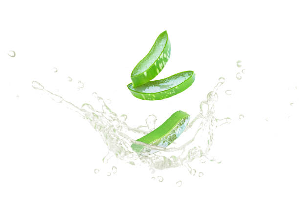istock Aloe vera plant with water splash 1357269172