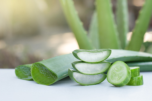Aloe vera leaf and cucumber  isolated on wooden table with nature background.
