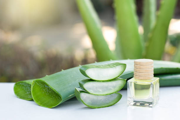 istock Aloe vera essential oil 1357269995