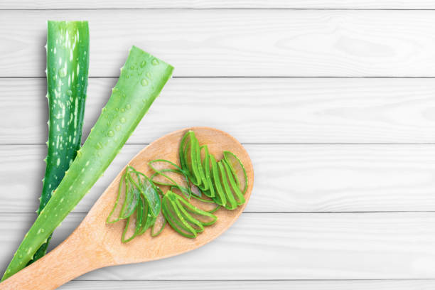 istock Aloe vera plant with cut slice 1357270123