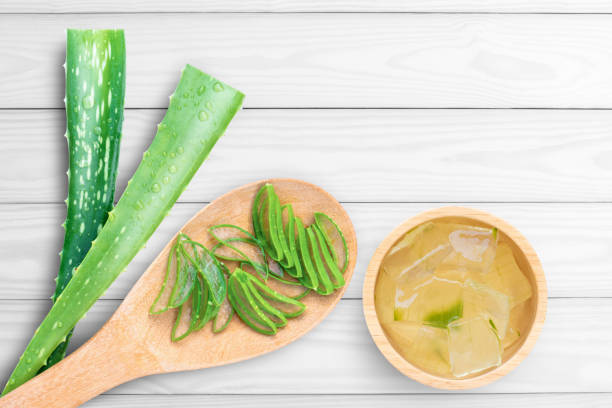 istock Aloe vera plant with gel 1357270129
