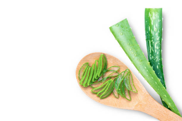 istock aloe vera plant 1357270152