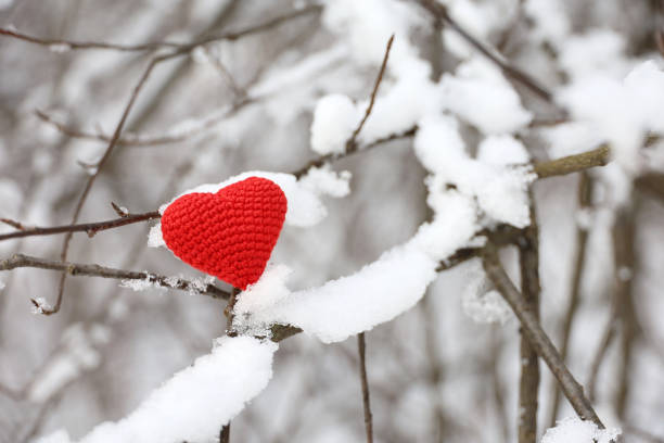 istock Knitted red heart in the snow on a tree branches in winter forest 1357272195