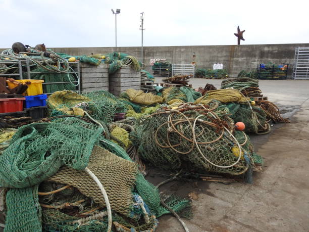 270+ Fishing Trawler Tied Up To The Dock Stock Photos, Pictures