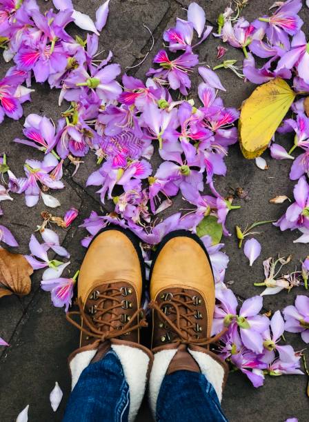 istock The colorful carpet 1357274294