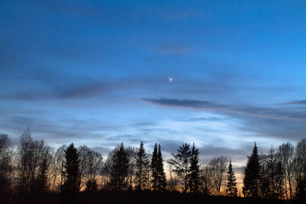 The bright sunset sky glows above the dark silhouettes of the evening forest. The planet Venus is shining in the sky.