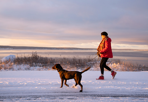 A woman enjoying a walk with her dog on a beautiful snowy morning.