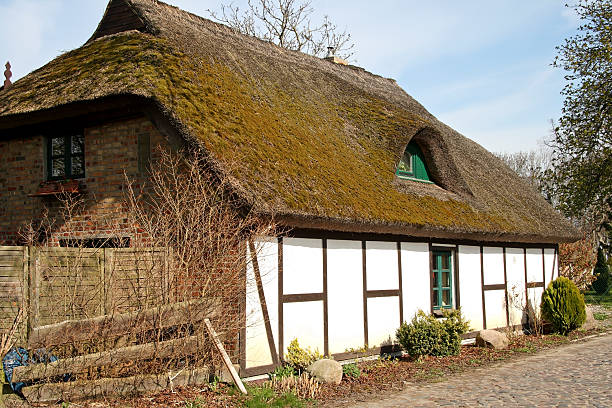 istock Historical Thatched Roof Cottage 135728160