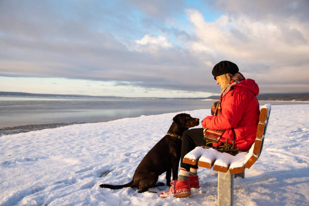 istock A lovely winter morning with a four legged friend 1357282219