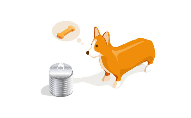 Vector illustration of cartoon dog finding a tin and want to eat bone and meat.Isometric view Vector illustration of cartoon dog want to eat bone and meat. border collie drawing stock illustrations