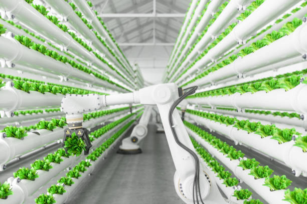 automatische landwirtschaftstechnik mit roboterarm, der salat in vertikalem hydroponischen pflanzensystem erntet - biotechnology factory industry technology stock-fotos und bilder