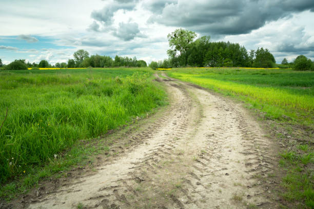 istock Dirt road in green fields and cloudy sky 1357286658