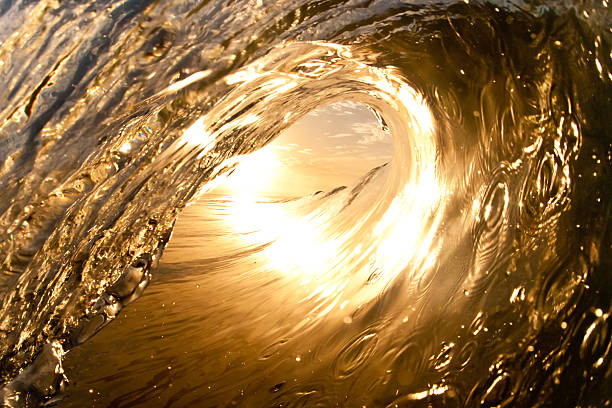 A photo inside a curled ocean wave, golden in the sunset