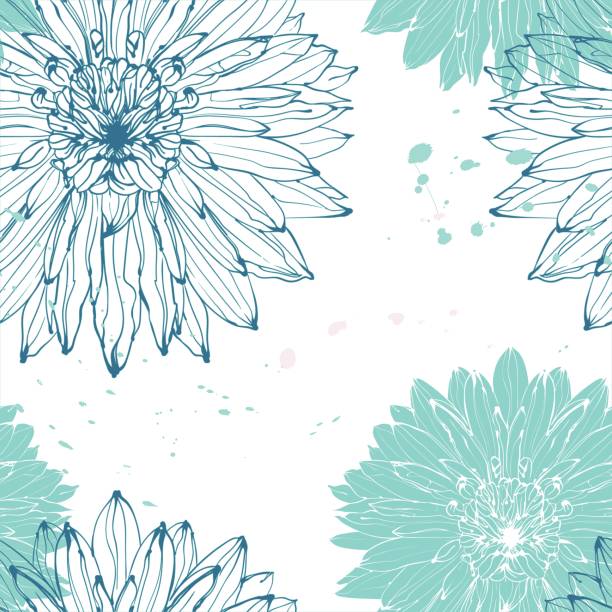 illustrations, cliparts, dessins animés et icônes de motif botanique romantique de fleurs de dahlia en graphisme turquoise et remplissage bleu - dahlia