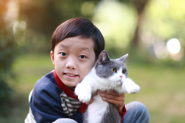 Photo of a little boy cuddling with his cat, on a beautiful sunny day outdoors in nature