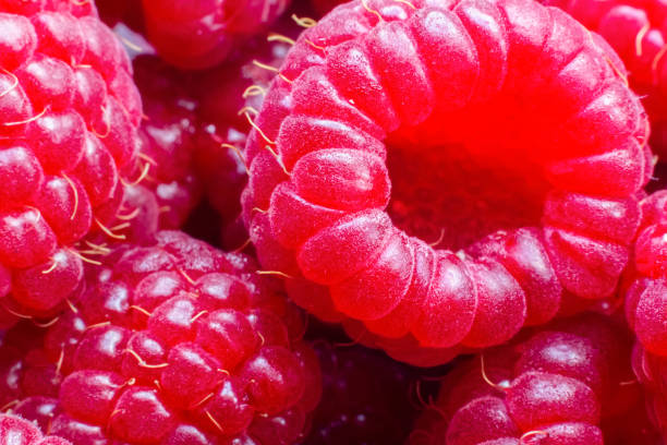 istock Macro of ripe red raspberry. Food background. Close-up. 1357290532