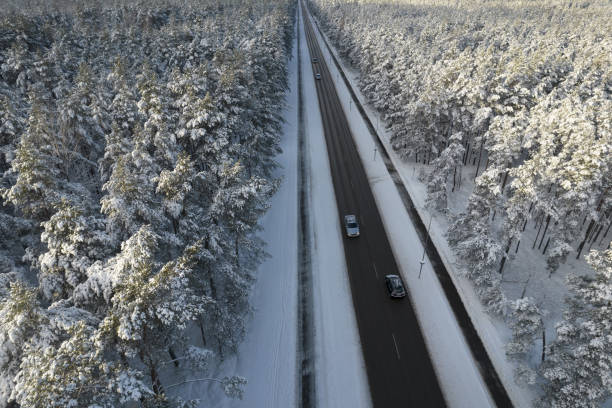 istock Black road and trees with chill snow in mountains 1357291432