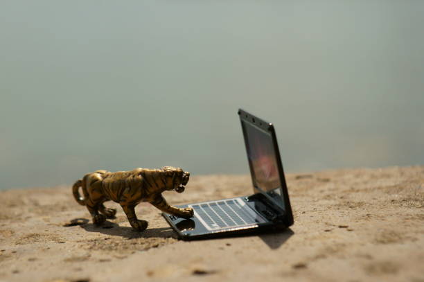 istock A tiger figurine and a laptop close-up. 1357294029