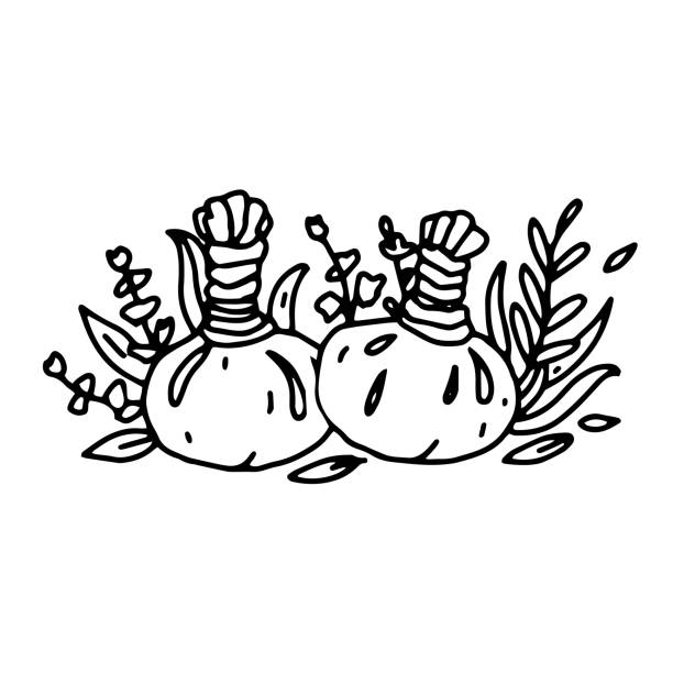 kräuter-massagebälle im doodle-outline-stil. spa kräuter kompressenbälle - herbal compress balls stock-grafiken, -clipart, -cartoons und -symbole