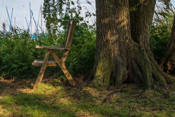 A wooden folding chair near a tree, seen at the Steinhuder Meer in Mardorf, Lower Saxony, Germany