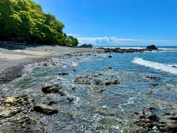 istock Pacific Ocean Beach - Rocky Coastline and Waves 1357298624