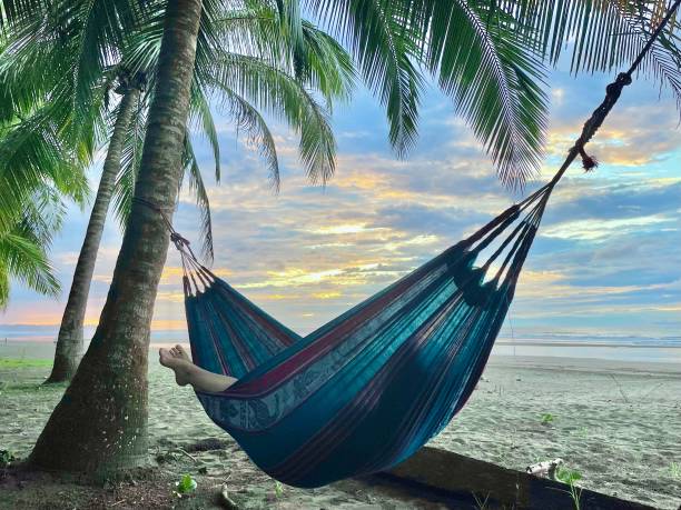 istock Person in a Hammock - Relaxing in Retirement Tropical Landscape 1357298917