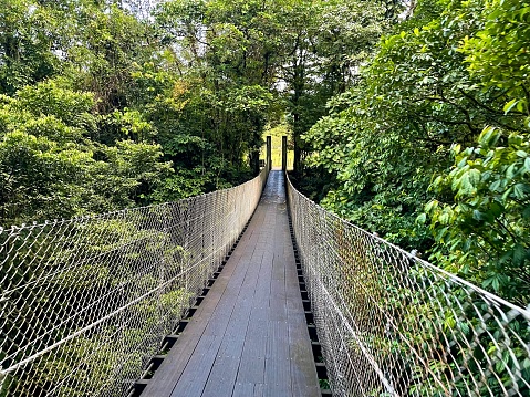 Suspension Bridge in the Rainforest - Místico Arenal Hanging Bridges, Arenal Volcano National Park, Costa Rica