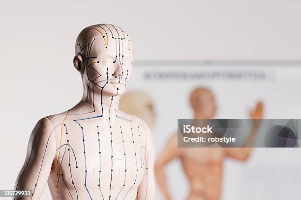 Akupunkturmodell Stockfoto und mehr Bilder von Akupunktur - Akupunktur, Gesundheitswesen und Medizin, Chinesische Kultur