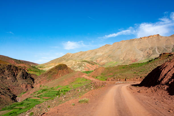 istock In the Atlas Mountains in Morocco. 1357300528