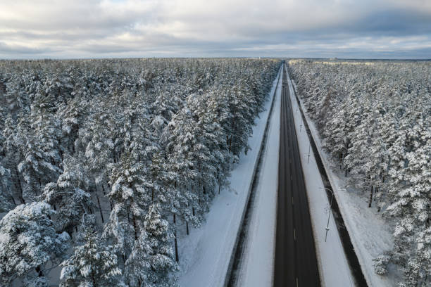 istock Black road and trees with chill snow in mountains 1357301807