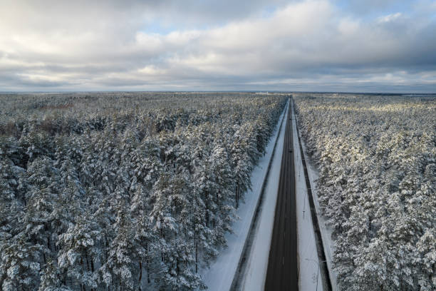 istock Black road and trees with chill snow in mountains 1357302901