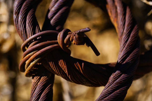 Rusty Steel Cable Detail - Old rusty coiled cable held together with crimped metal. Selective focus showing texture and detail.