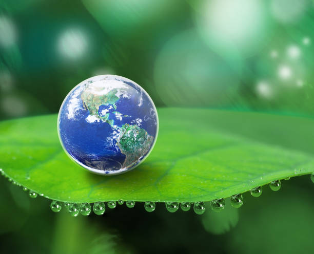 istock Earth on green leaf  with water drops on blur light background, Sustainable development for green world 1357304753