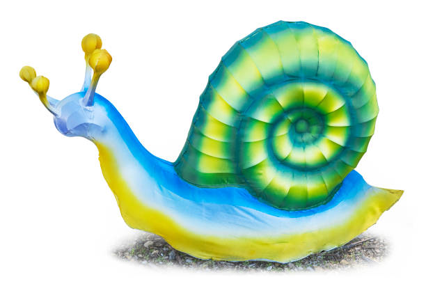 extreme detailed view of a spiralized snail shell