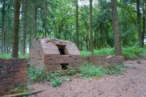 ruina de y antiguo edificio de ladrillo en el bosque - house farm brick chimney fotografías e imágenes de stock