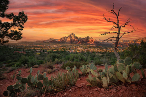 istock Sendona city with red rock background 1357315348