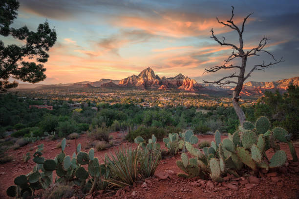 istock Sendona city with red rock background 1357315355