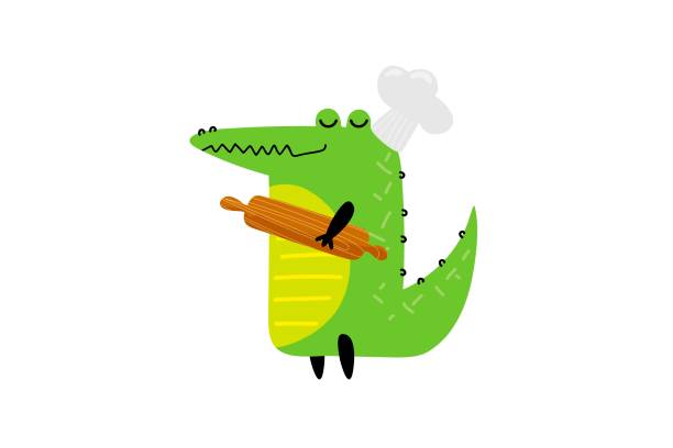 51 Crocodile Or Alligator Chef Illustrations & Clip Art - iStock